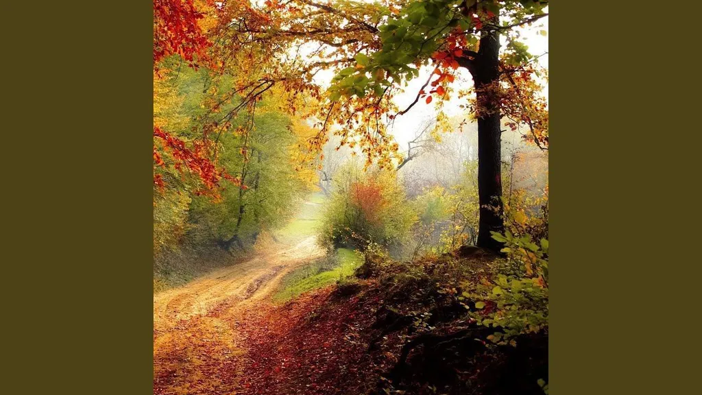 נעימות פסנתר מרגיעות לשינה, עבודה, לימודים, יוגה…