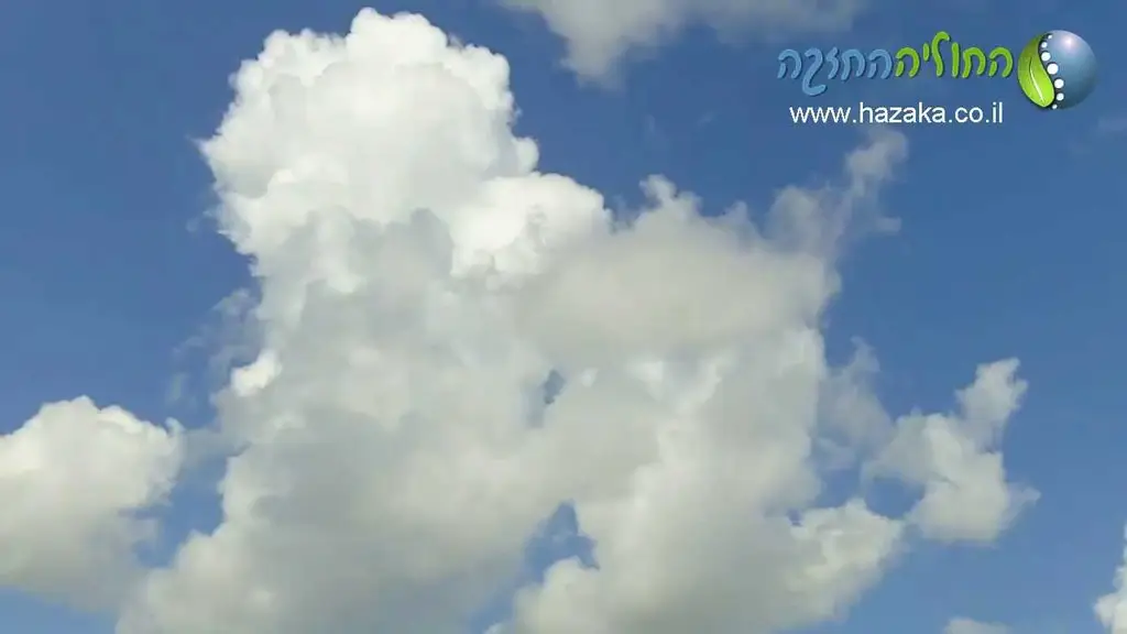 דמיון מודרך להרפיה – עובד טוב לפני השינה