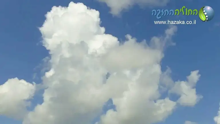 דמיון מודרך להרפיה – עובד טוב לפני השינה