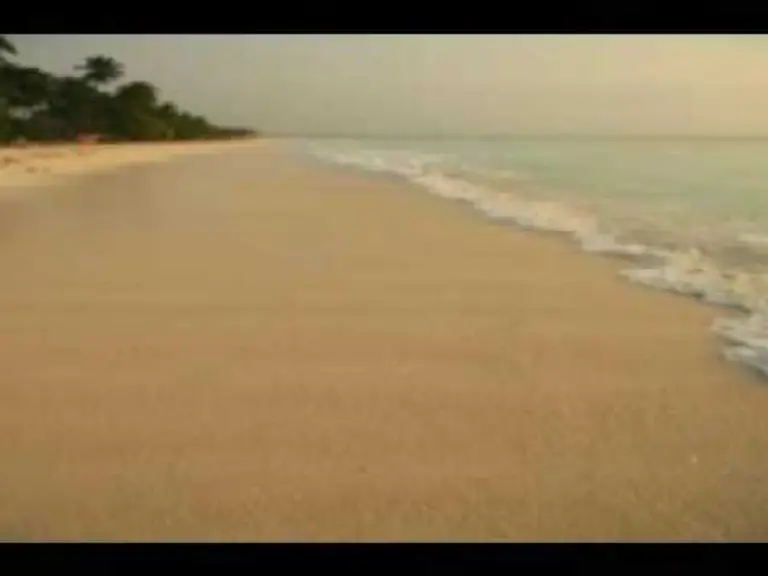 הרפיה ודימיון מודרך – חוף הים