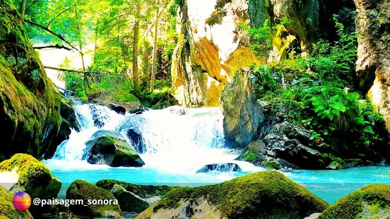 Relaxe Instantaneamente: Música e Vídeos de Riacho para Afastar Pensamentos Intrusivos