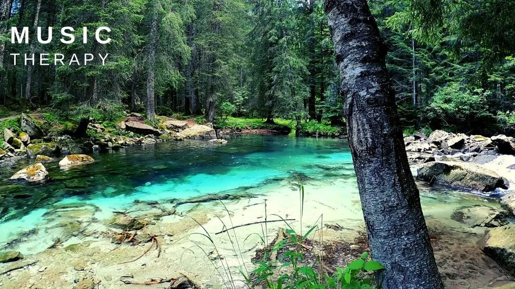 רעש לבן של מים זורמים וטבע ☀ יסייע לך להתעלם מרעשים חיצוניים וישפר את יכולת הריכוז 🌳 ללמידה ושינה