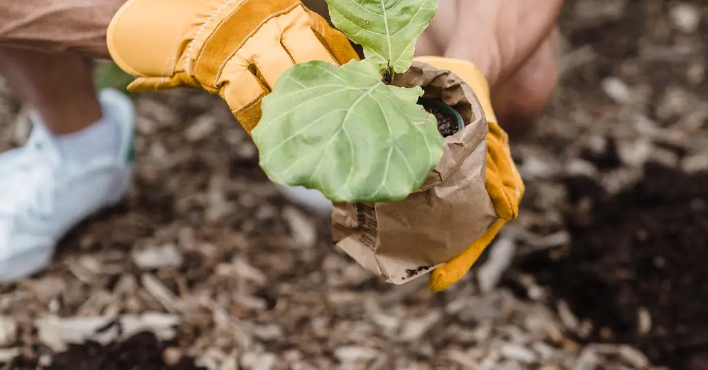 קואצ'ר בגוש דן — מצאו מאמן לחיים מוסמך | CoachOnline