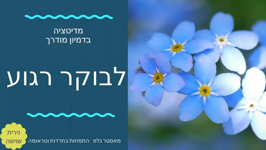 מדיטציה לבוקר רגוע – NLP  נירית שוישה