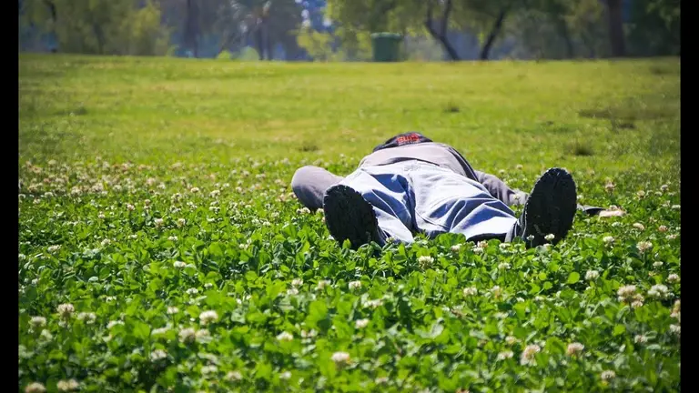 דמיון מודרך – הרפיה מושלמת