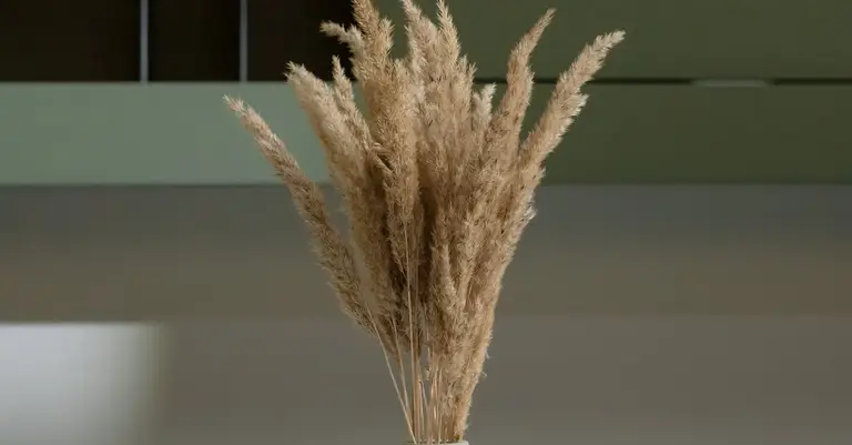 קואצ'ר בנהריה — מצאו מאמן לחיים מוסמך | CoachOnline