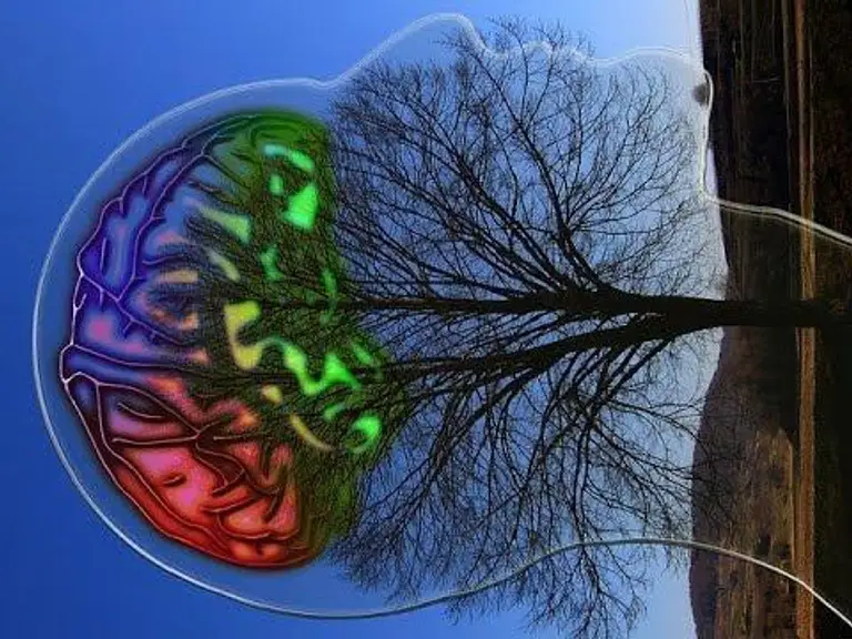 מוזיקה למדיטציה עם תדר תטא לאימון גלי מוח