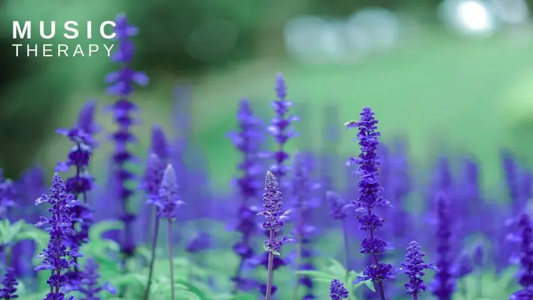 מוזיקה מרגיעה ללימודים, להגברת הריכוז במשימות ♥ נעימה מרגיעה ואופטימית לעידוד כל פעילות של לימוד