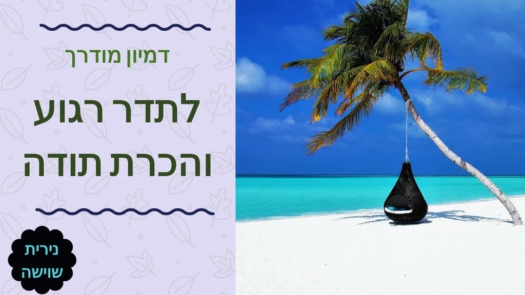 מדיטציה לרגיעה, העלאת התדר והכרת תודה