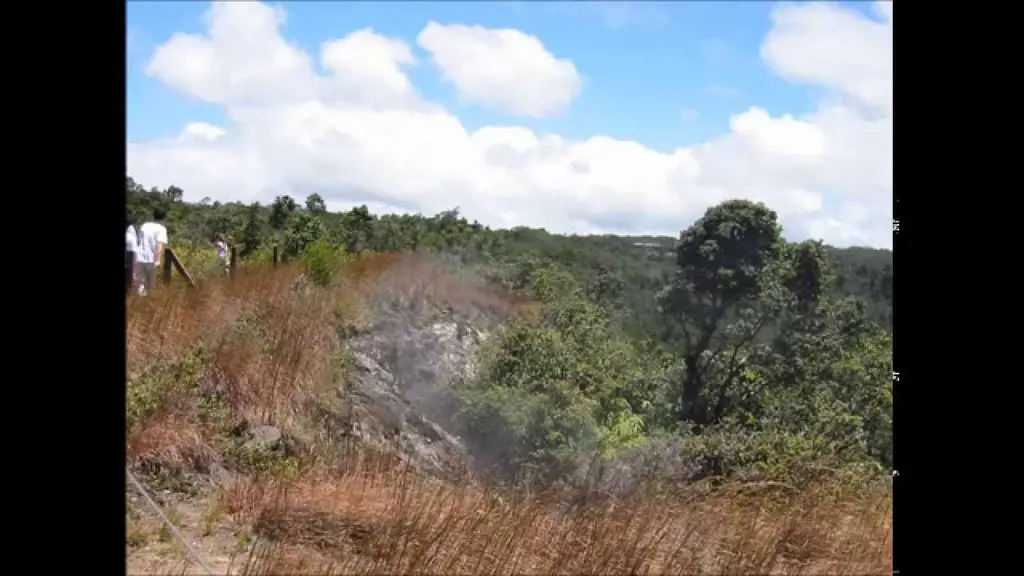 הרפיה, לטיפול בהפרעות במערכת העיכול. ד"ר ברוך אליצור, פסיכולוג