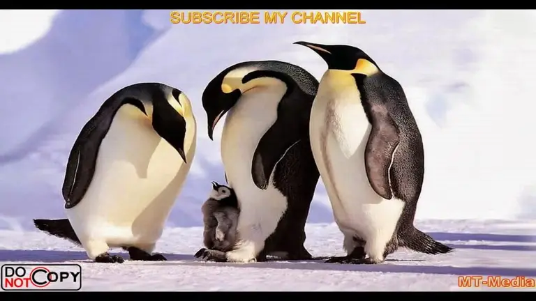 מוזיקה מרגיעה לשינה עמוקה